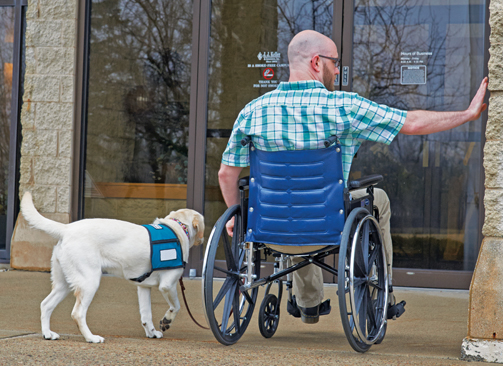 ADA training